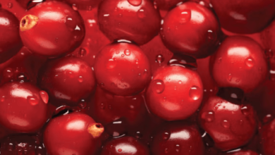 Cool:_2gkbbfejua= Fond of Cranberry