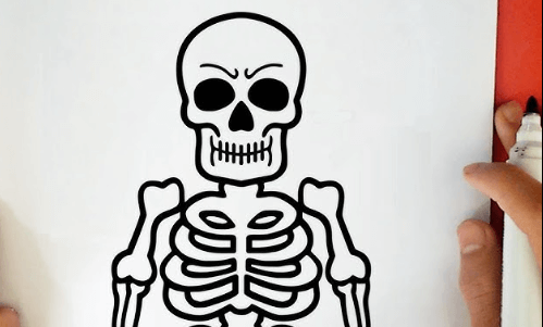 Cool:_M-Mutgixyq= How to Draw a Skeleton