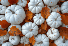 Cool:54d0eluqpx4= White Pumpkin Painting Ideas