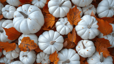 Cool:54d0eluqpx4= White Pumpkin Painting Ideas