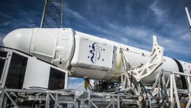 develop online services platform