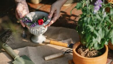 optimize digital growth tools